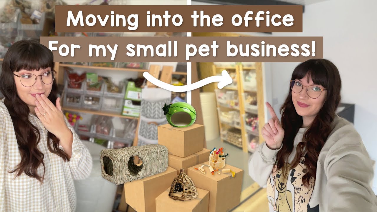 Moving into the NEW office for my small pet business!