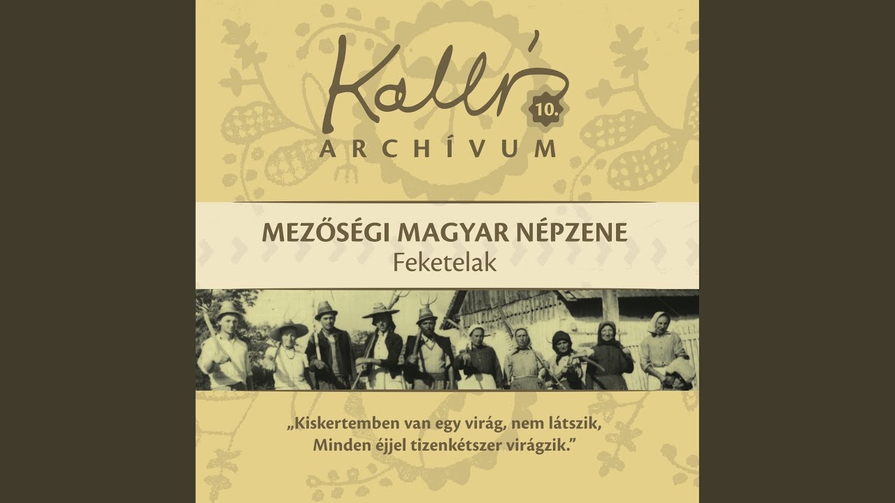 Szép a fekete bárány