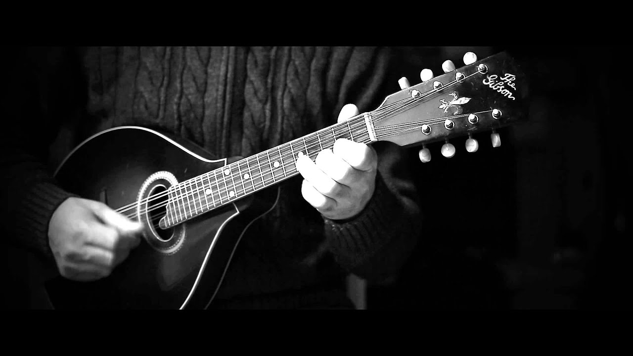 Irish mandolin. The Maid Behind The Bar (melody and chords)