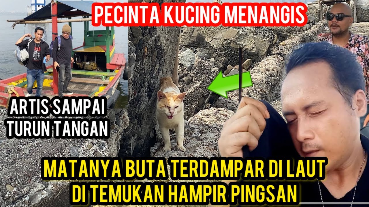 MENYELAMATKAN KUCING BUTA YANG DI BUANG KE LAUT SAMPAI MAU PINGSAN  KARENA PANAS..!