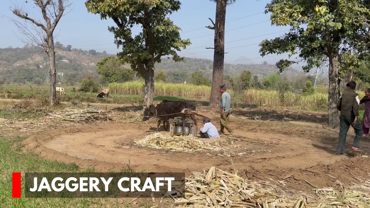 Udhampur’s Puran Singh Keeps 250-Year-Old Jaggery Craft Alive