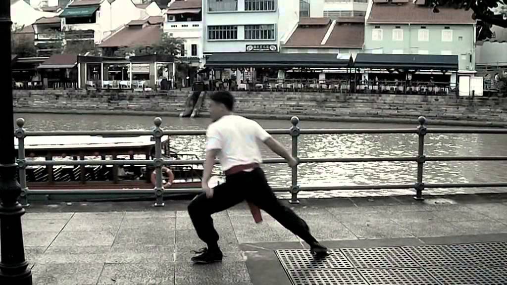 Southern Chinese Kung Fu Forms: 《红花拳》 与 《小花拳》