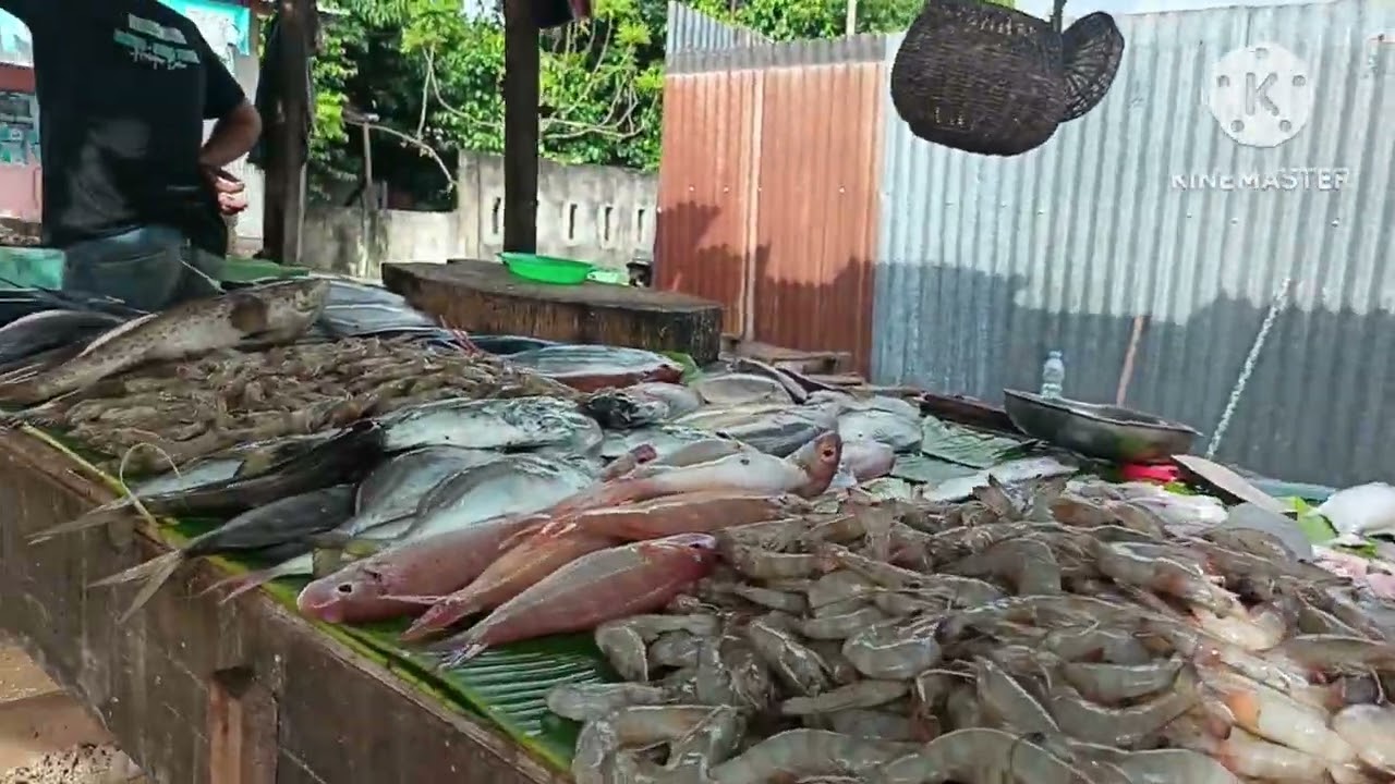 proses potong ikan cakalang untuk rumah makan