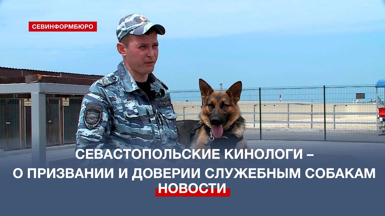 Служебный пёс – лучший друг. Как работает кинологическая служба полиции
