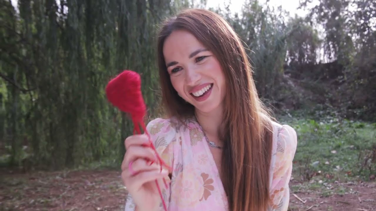 Videoclip 