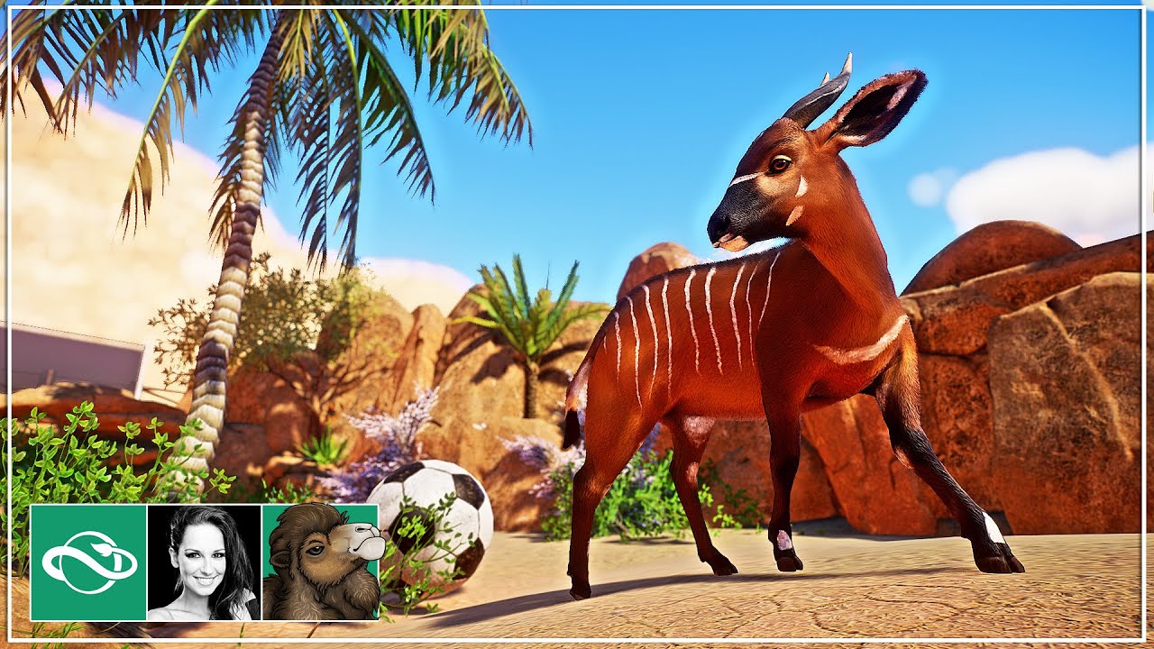 🐫 Bongo Habitat & Restaurant | Desert Franchise Mode | Planet Zoo | Ep. 2 |