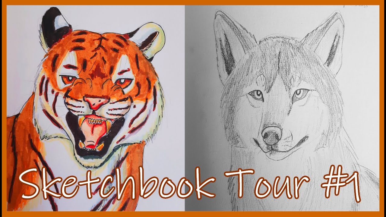 I Completed My First Sketchbook! | July 2023 - February 2024 | Sketchbook Tour #1