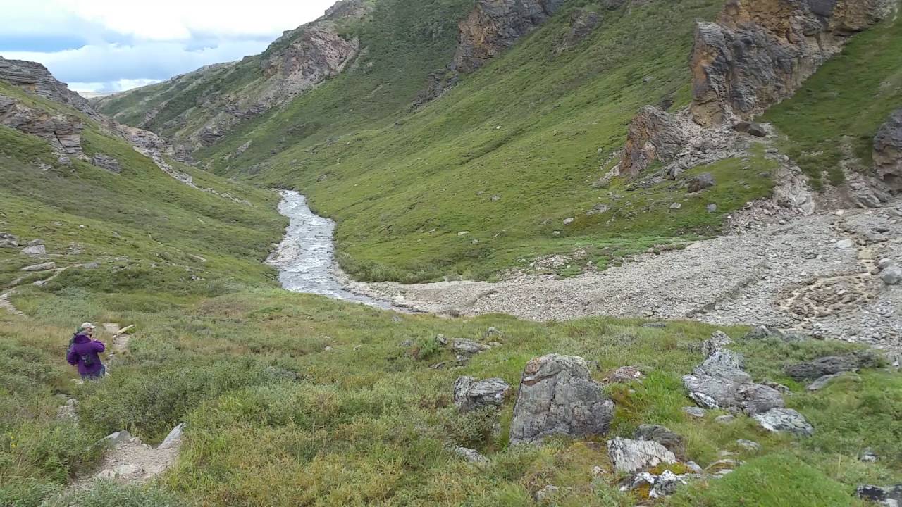 Savage River Loop Trail #5...Alpine Trail