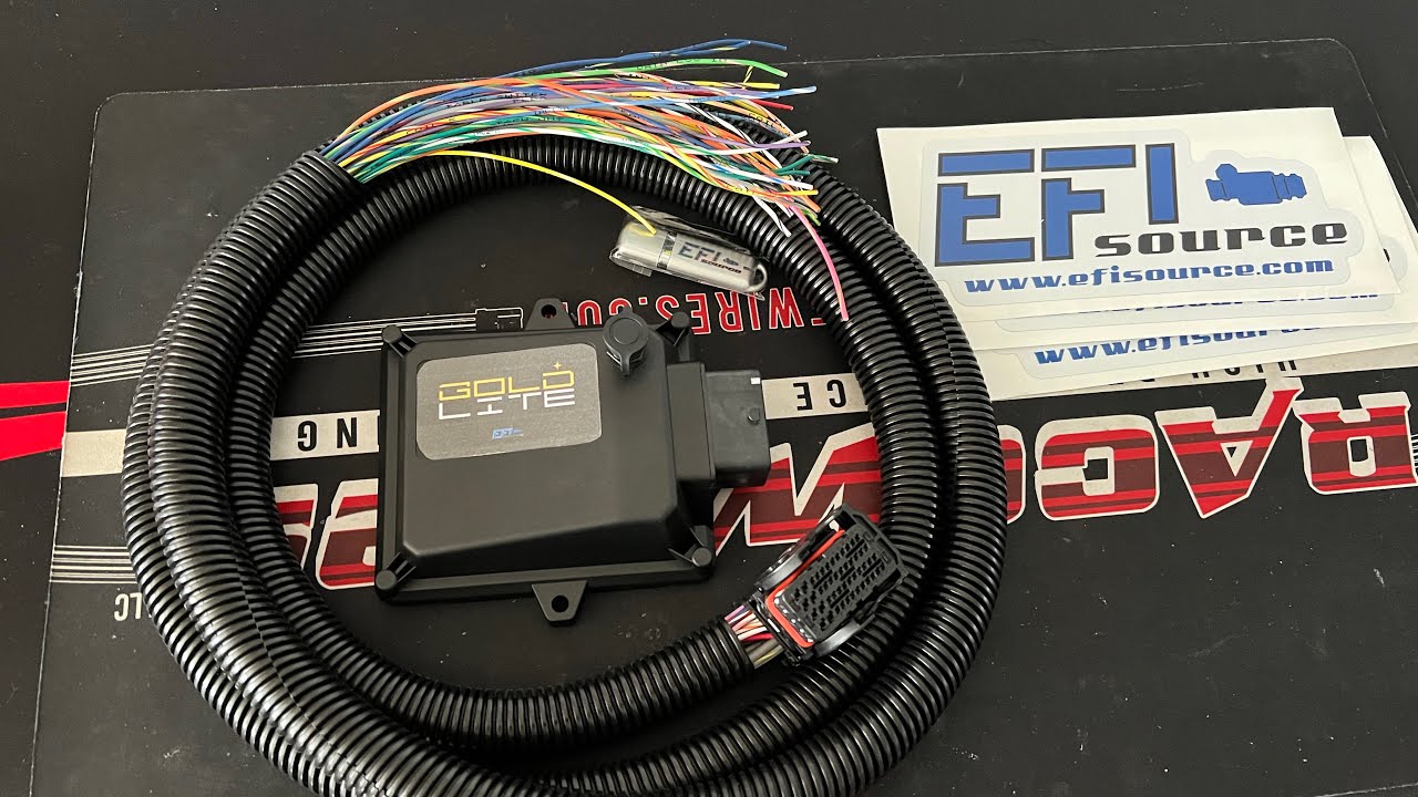 gold lite - the new micro mini ms3