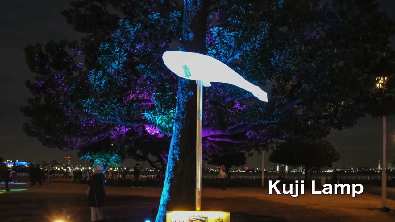 251227 山下公園2025年末の夕暮れ（2025p）