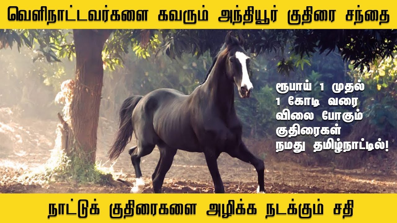 ரூ 1 முதல் 1 கோடி வரை அசத்தும் அந்தியூர் சந்தை
