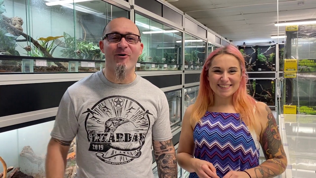 Laurine et Nicolas vous présente 9 espèces de varans dans le magasin