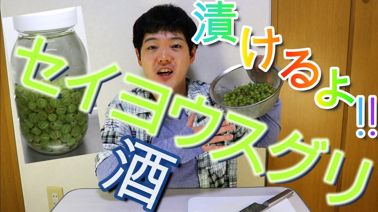 セイヨウスグリ酒を漬けてみました!!