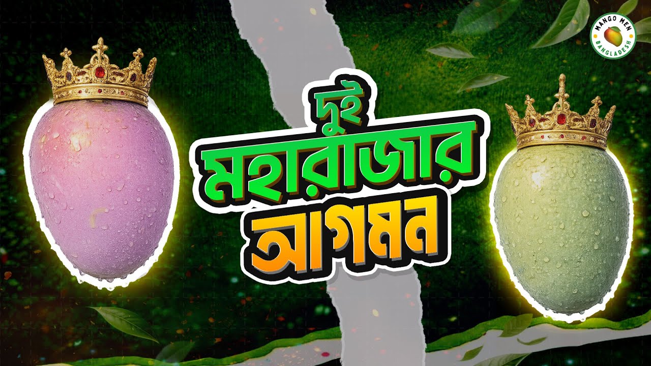 ভারতের দুই মহারাজা আগমনে প্রথম মুকুলের বিস্ময় । Indian King Mango Cultivar