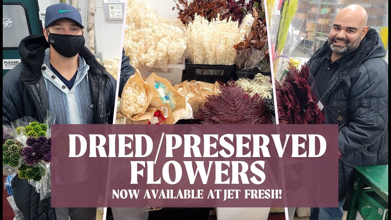 JFTV: New Dried and Preserved Flowers with Fern & Casey