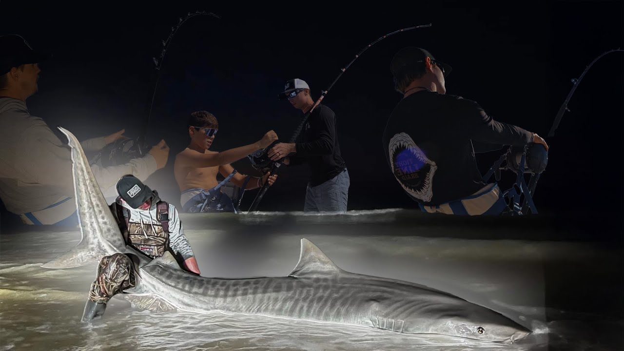 OVER 2 Hours of Catching SHARKS from Public Beaches! (Over 10 Feet Long)
