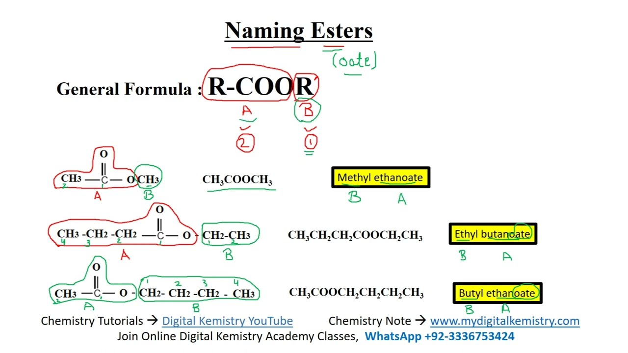 Esters Chemistry | How to Name Esters in Organic Chemistry | Chemistry Class 10 Organic Chemistry