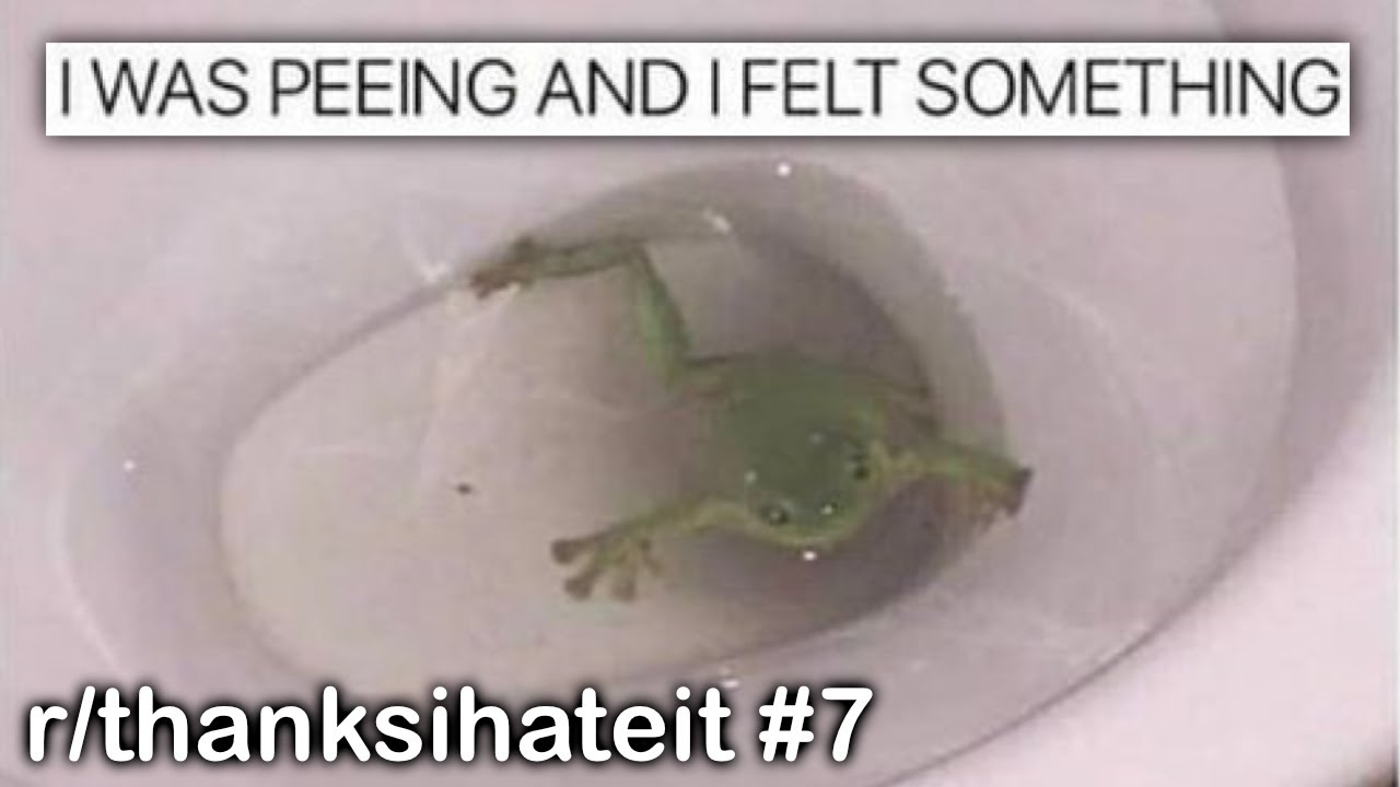 r/thanksihateit Best Posts #7