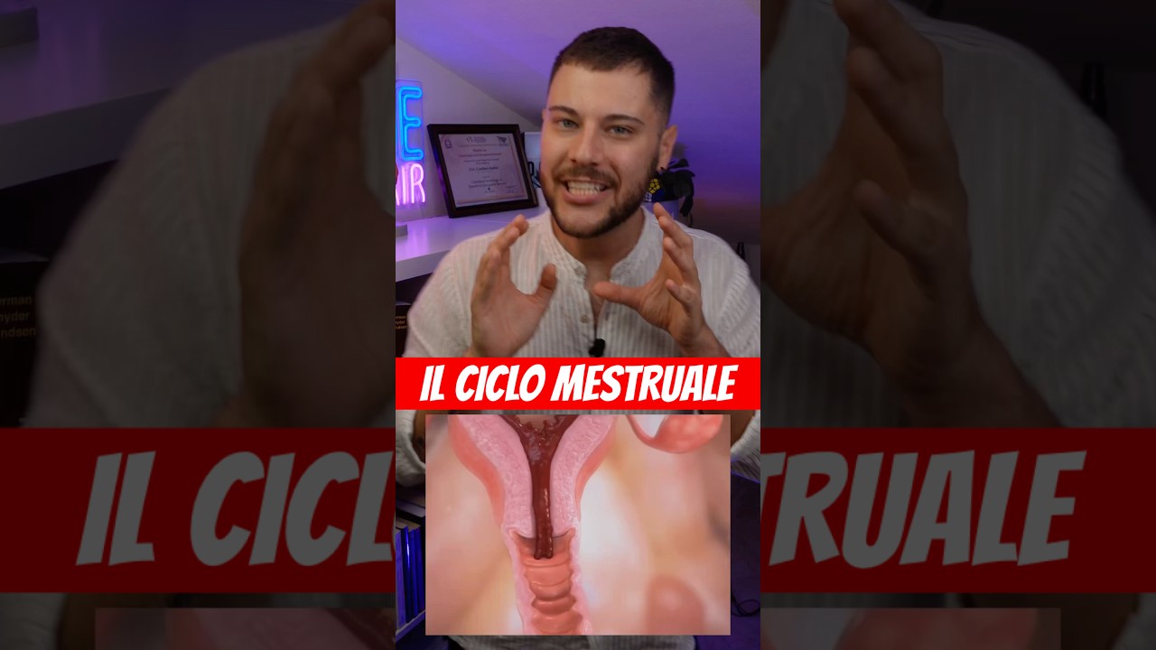 CICLO MESTRUALE! Te lo spiego in maniera semplice