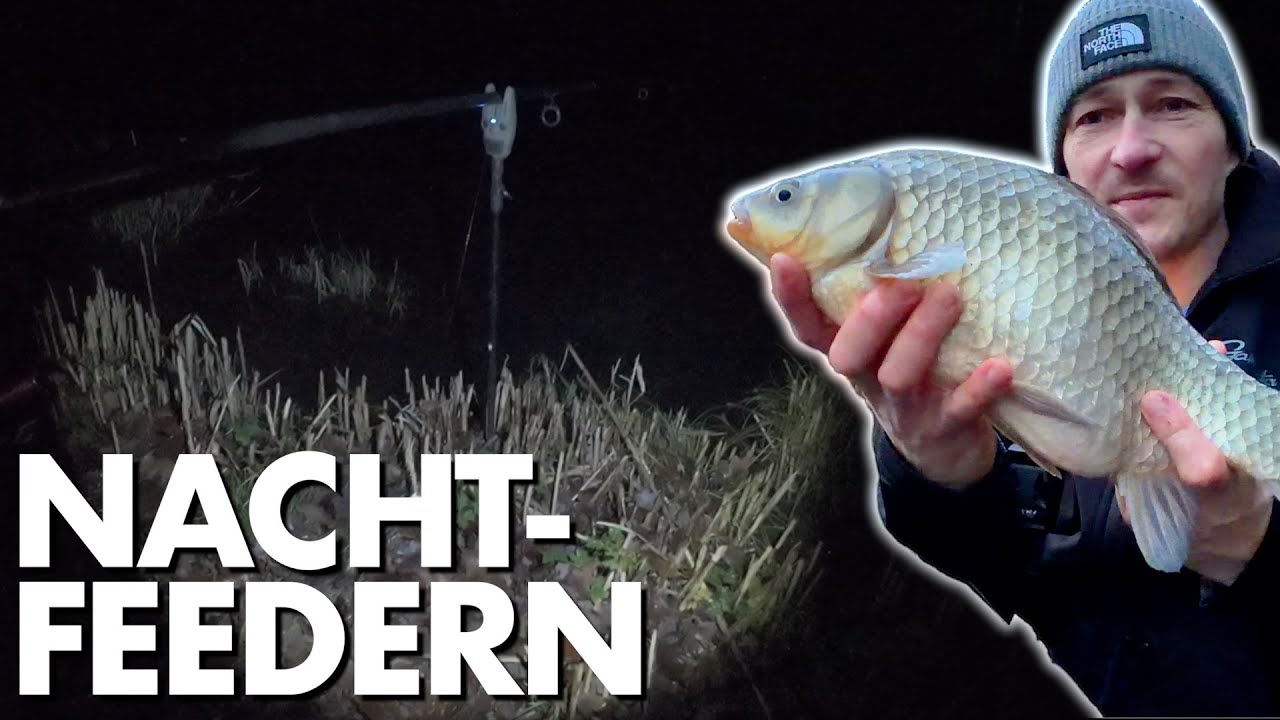 Nachts feedern im Winter – Diese Bissorgie hätte ich nie erwartet! ❄️🎣