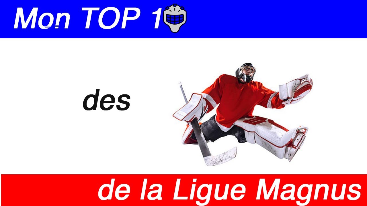 Mon Top 10 des gardiens de Ligue Magnus