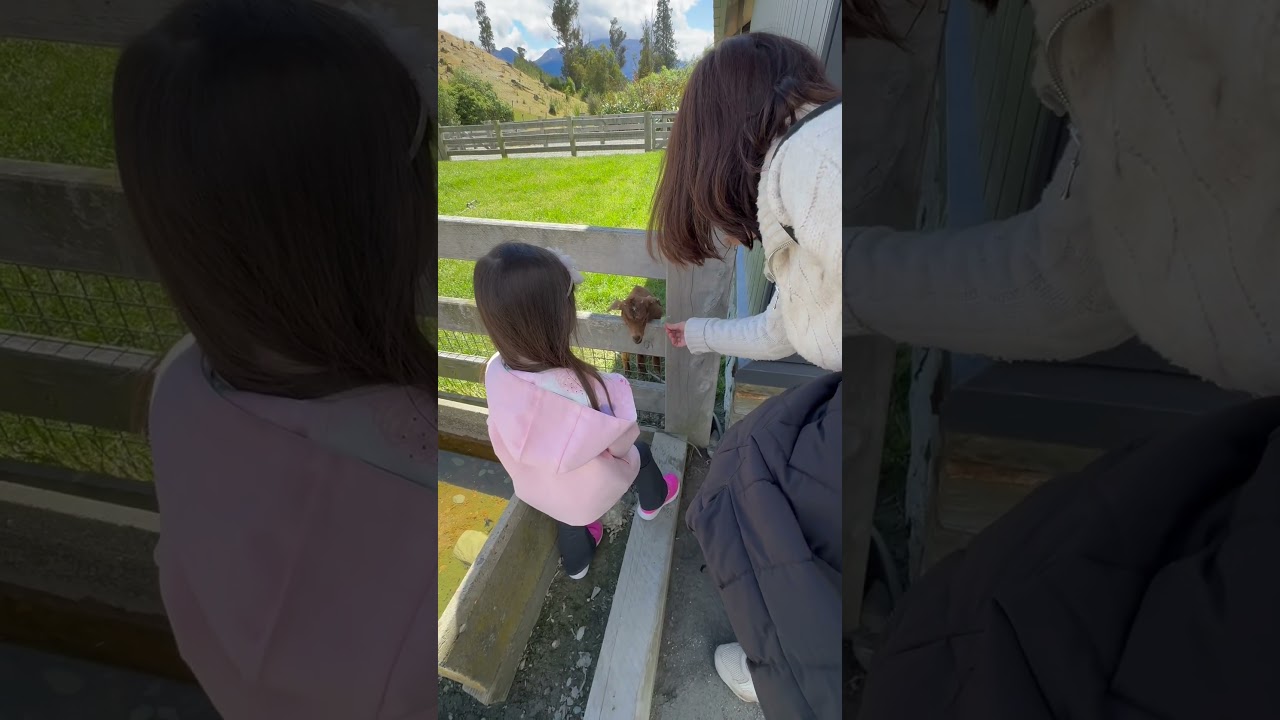 Walter Peak High Country Farm Tour-New Zealand