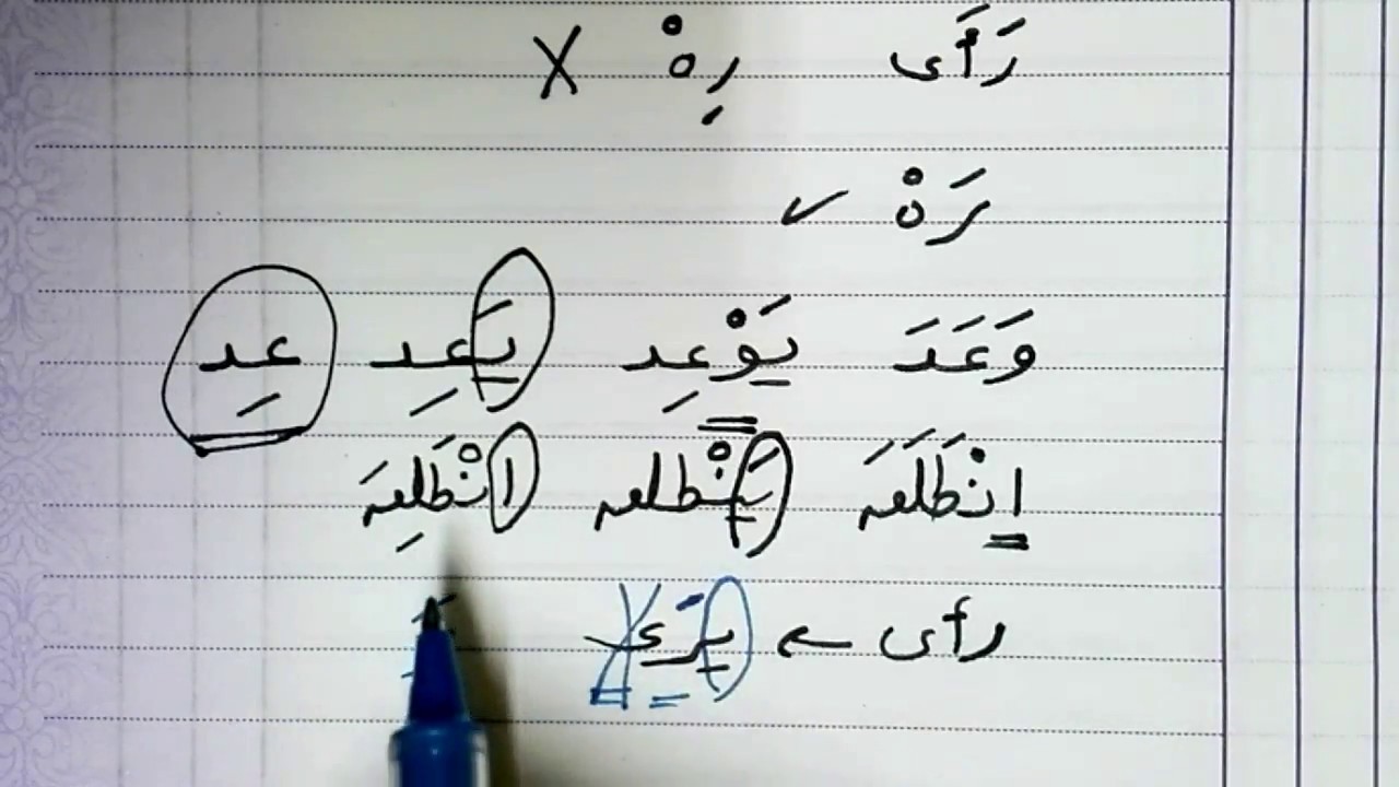 فعل الأمر من رأى
