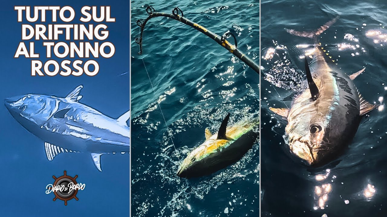 GRANDI TONNI A DRIFTING - TRUCCHI E SEGRETI PER CATTURARE IL RE DEL MARE 'DDB EP.20'