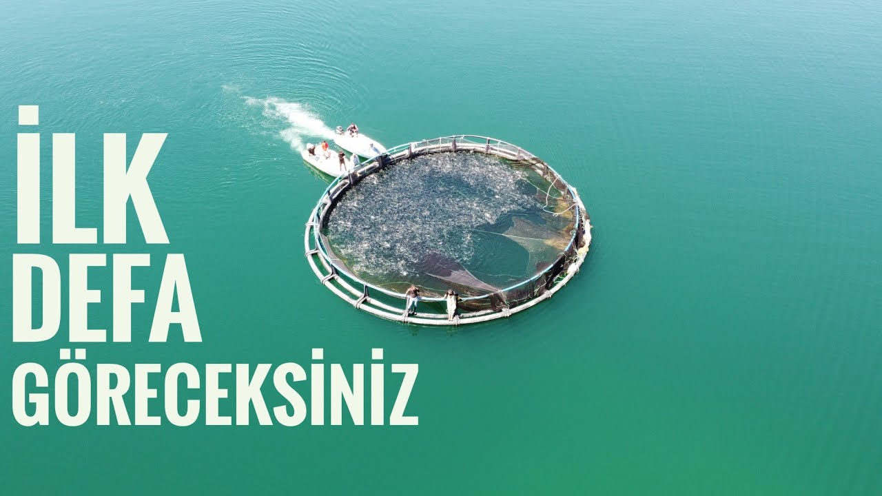 ÇEKEREK BARAJINDA BALIK HASADI