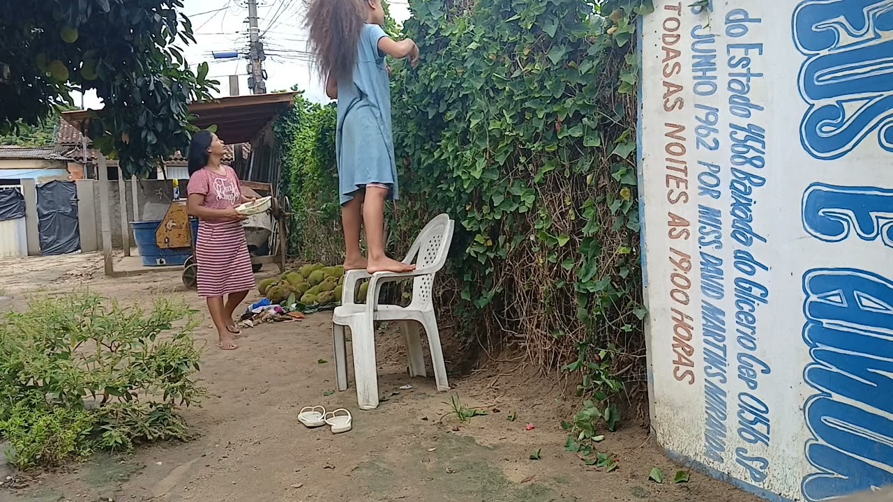 LIMPEI QUINTAL E COLHEMOS PEPINOS PRA CONSERVA .