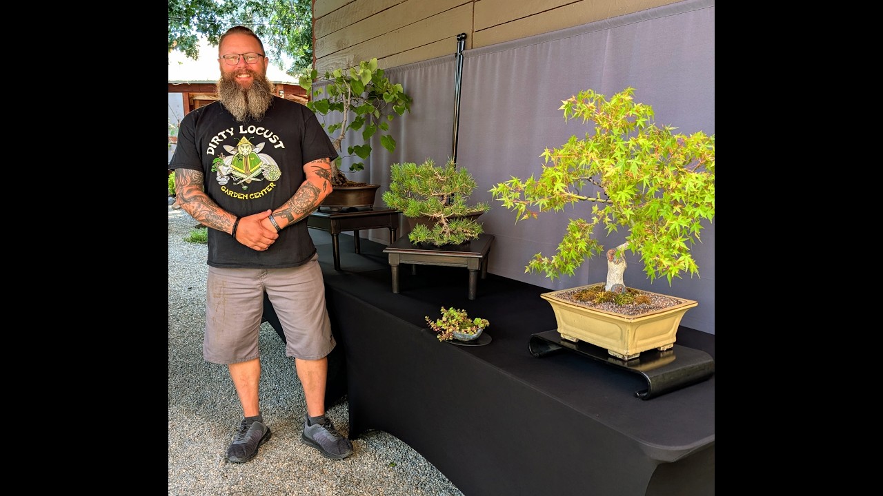 Bonsai for Beginners Foundation Course 2026