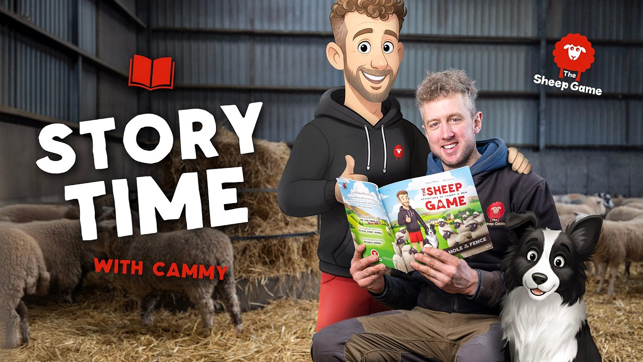 Sheep Game Stories |  Cammy reads 'Hole in the Fence'