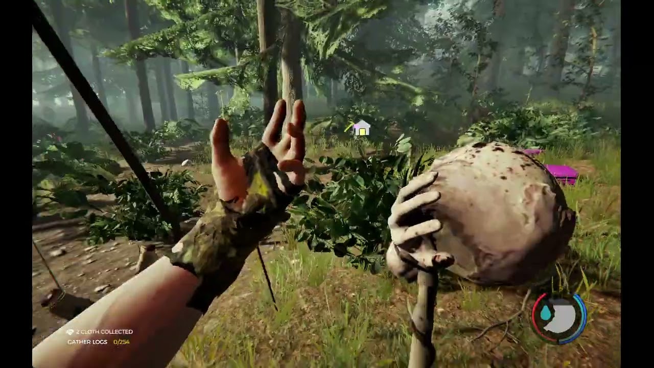 The Forest - The rarity of a raccoon is unrealistically atrocious