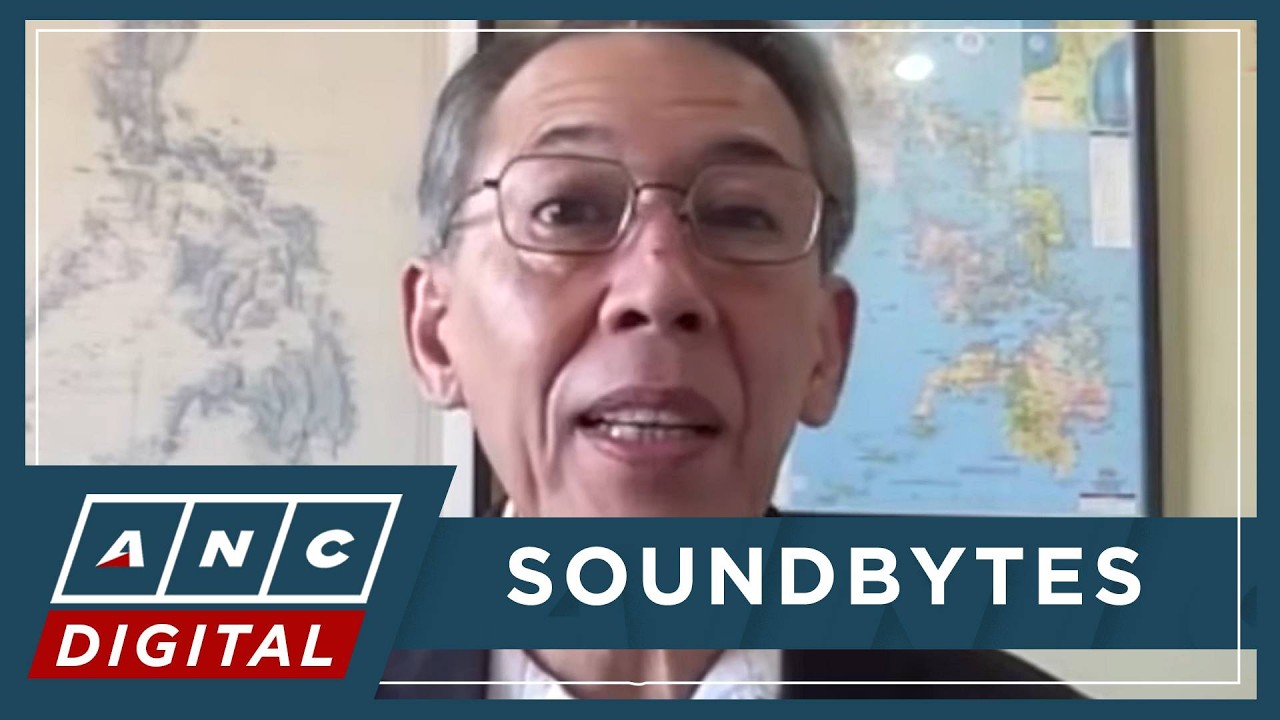 WATCH: Rep. Chel Diokno weighs in on Mans Carpio complaint vs him, other lawmakers | ANC