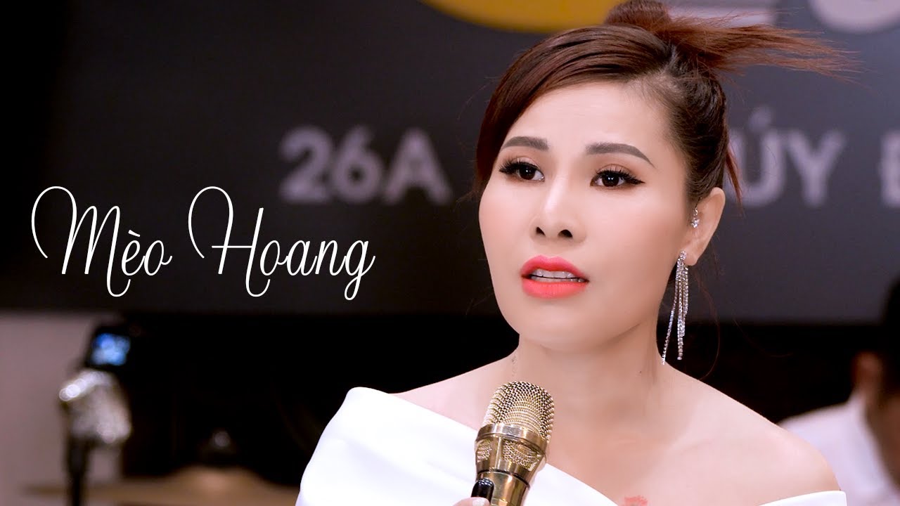 Mèo Hoang - Phi Thanh | Giọng ca mới khiến nhiều khán giả bất ngờ (4K MV)