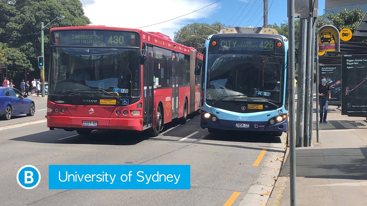 Transport for Sydney Vlog 154: Buses at USYD