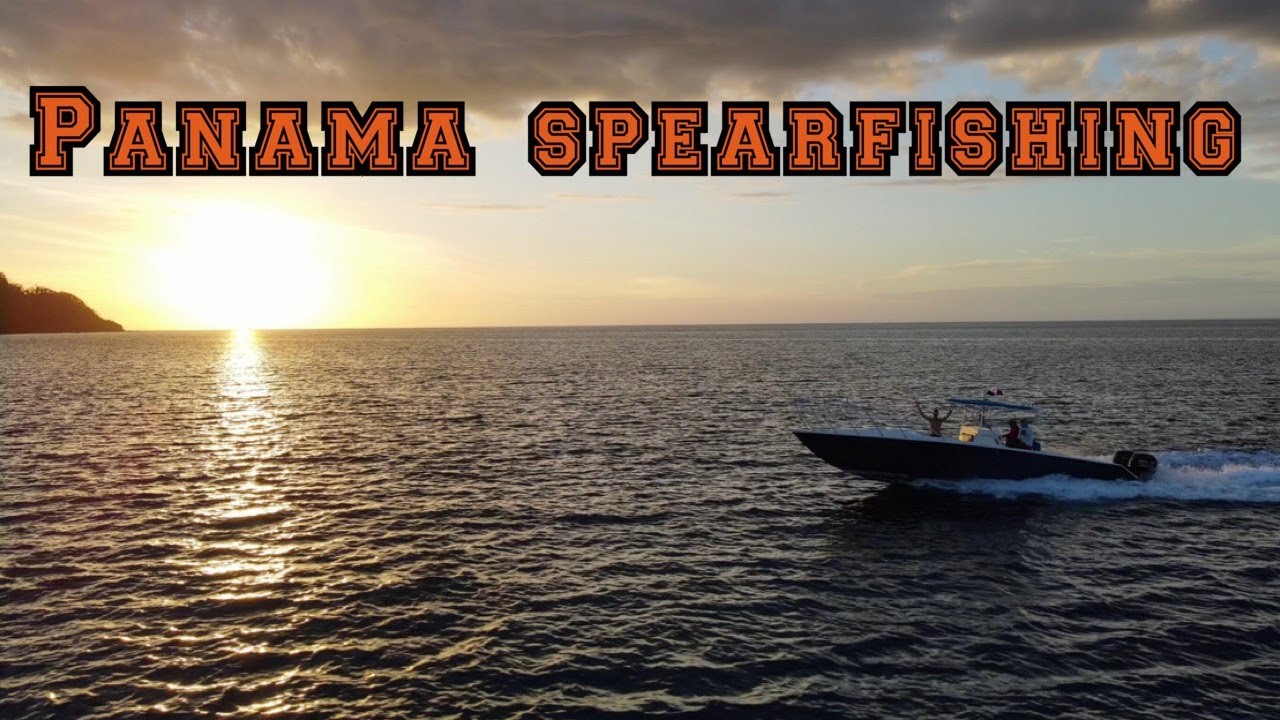 Panama Spearfishing