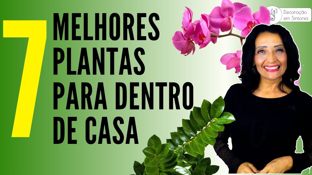 7 MELHORES PLANTAS PARA DENTRO DE CASA - FENG SHUI