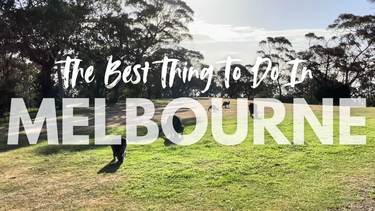 Arthurs Seat - Best Things To Do In Melbourne, Victoria, Australia - Travel Guide