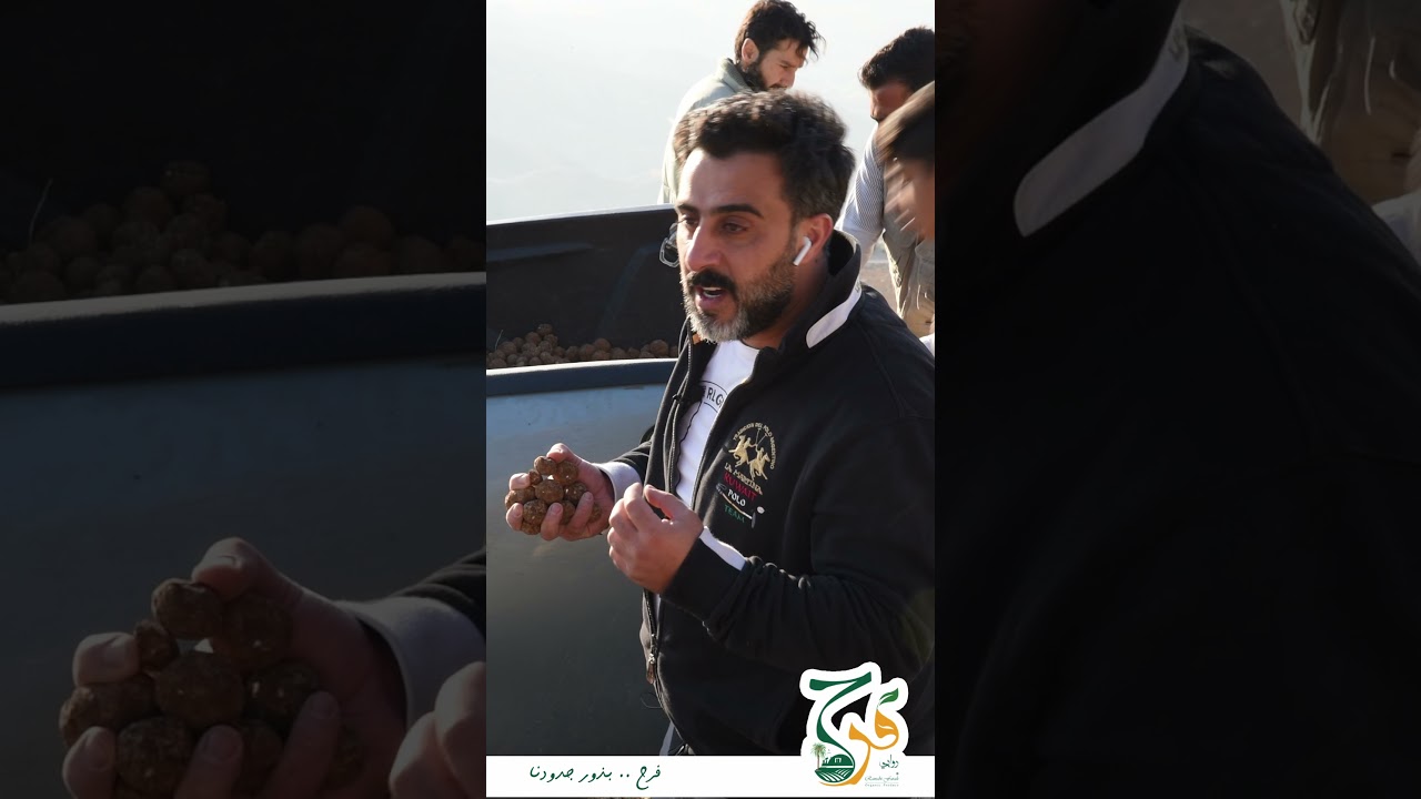 فيديو كرات السماق