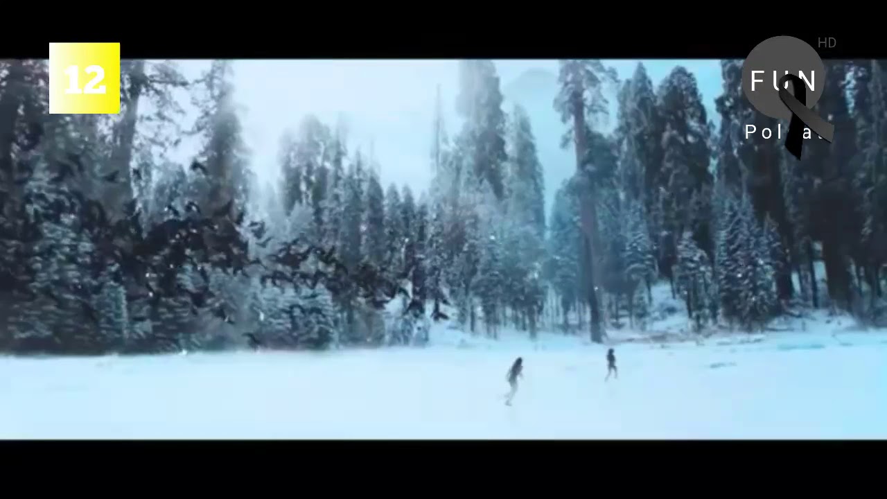 Polsat Fun HD - O Michael TV Polska HD (14.12.2018)