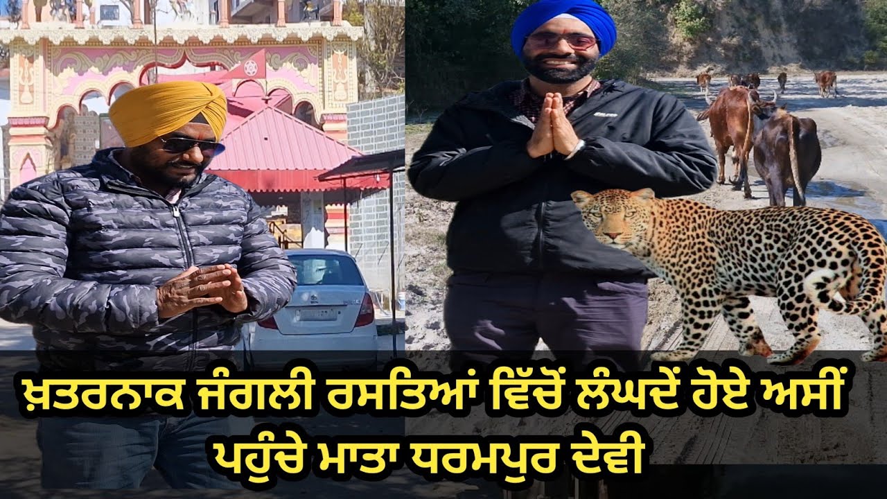 ਖ਼ਤਰਨਾਕ ਜੰਗਲੀ ਰਸਤਿਆਂ ਵਿੱਚੋਂ ਲੰਘਦੇਂ ਹੋਏ ਅਸੀਂ ਪਹੁੰਚੇ ਮਾਤਾ ਧਰਮਪੁਰ ਦੇਵੀ Mata Dharampur Devi Hoshiarpur 