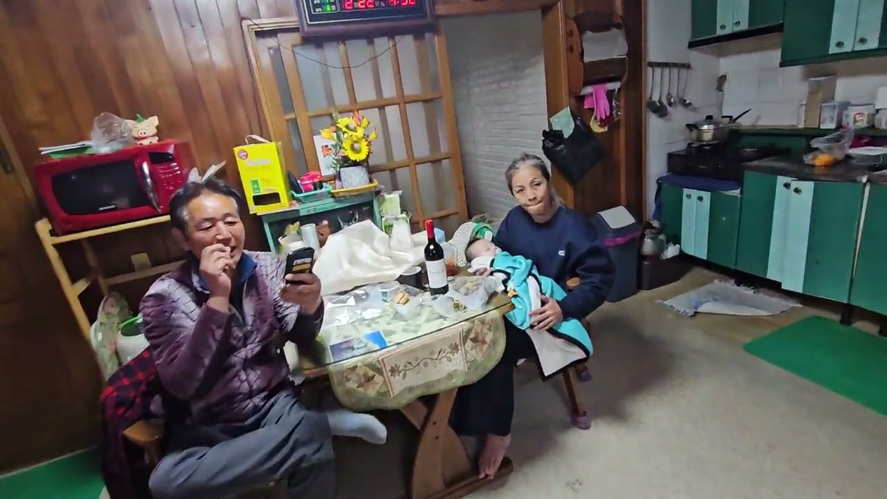 서울 이모님, 이모부, 누나와 동생 시골방문, 260221