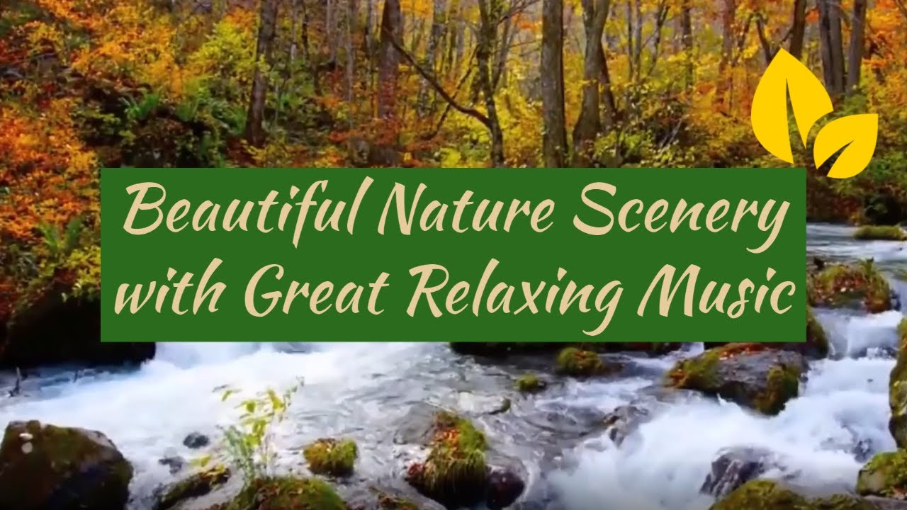 Beautiful Nature Scenery with Great Relaxing Music