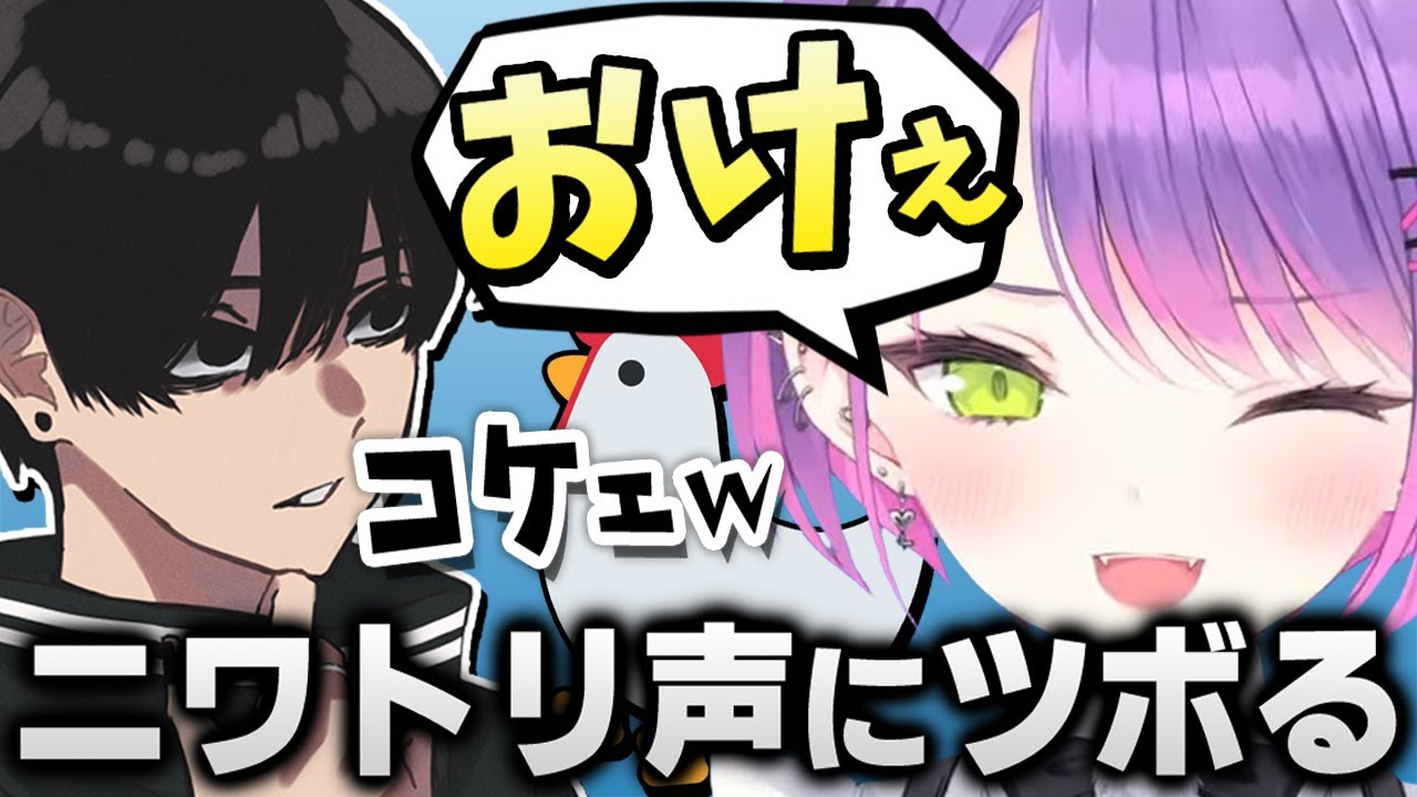 【切り抜き／常闇トワ】ドリームマッチ最終試合でのトワ様とリッキーの絡みが面白過ぎたｗ【APEX／#DREAMMATCH／Ras／Crylix】