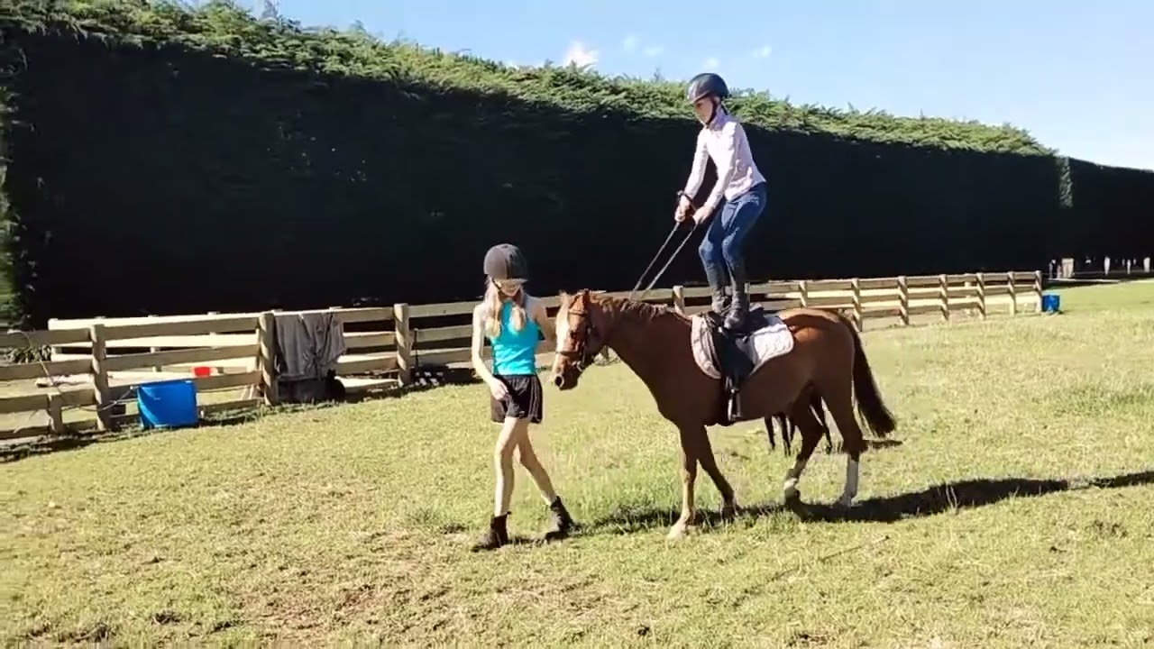 Missy tricks