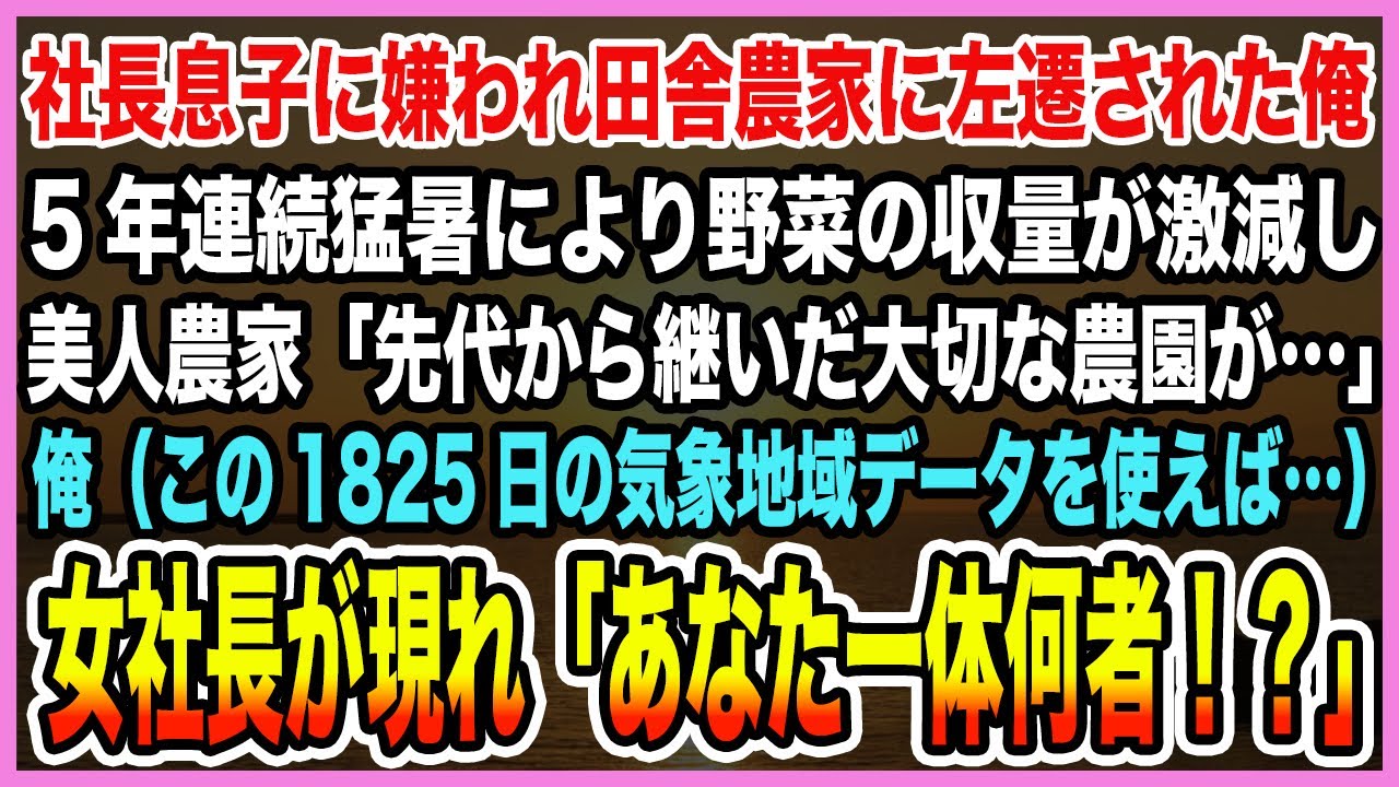 【感動する話】社長息子に嫌われ田舎農家に左遷された俺。5年連続猛暑により野菜の収量が激減し美人農家「先代から継いだ大切な農園が…」→データ使い1年間で1億の黒字転換させた結果【泣ける話・朗読】
