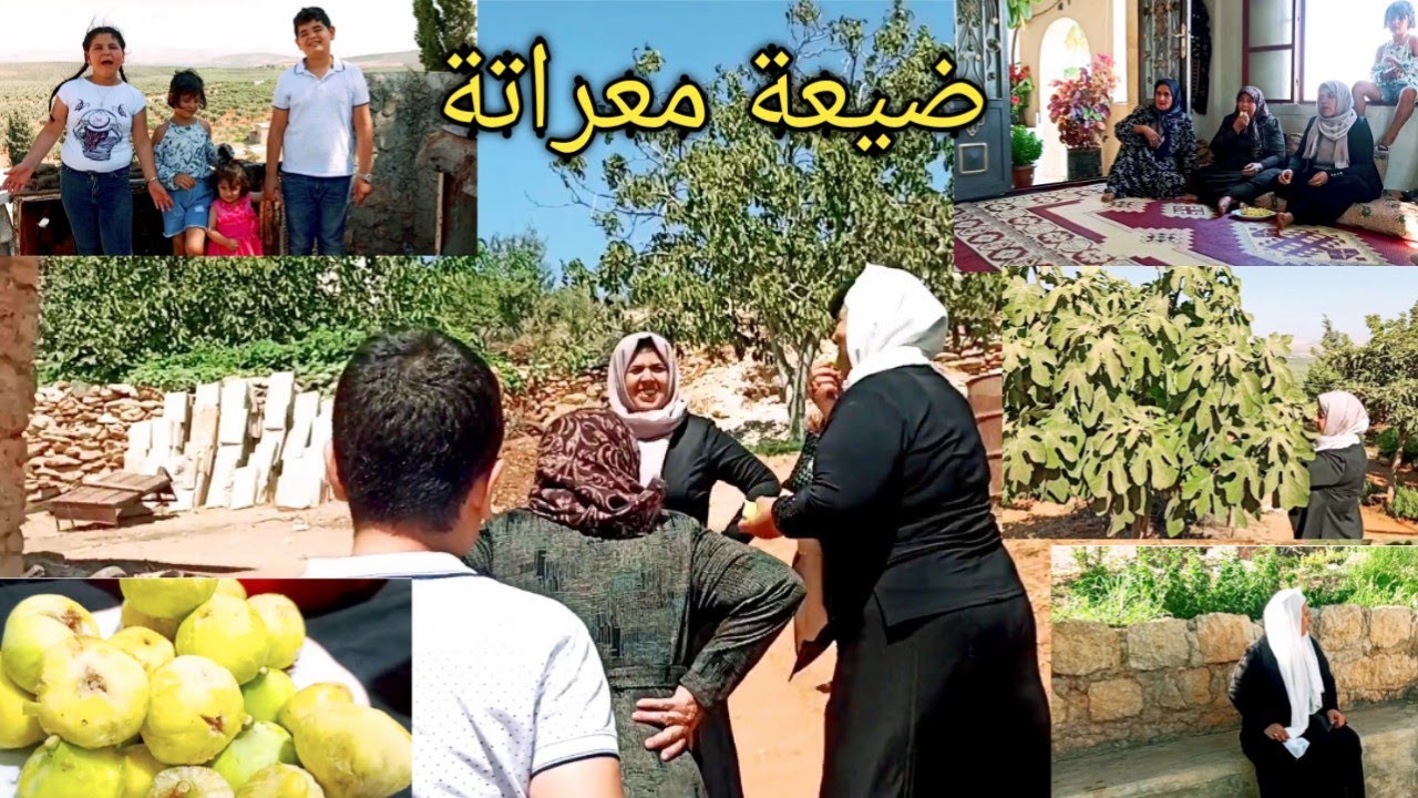 رحنا على (ضيعة معراتة)👩‍🦱أجواء الضيعة رائعةوقت التين والجوز والخضرة تازة خليكن معنا