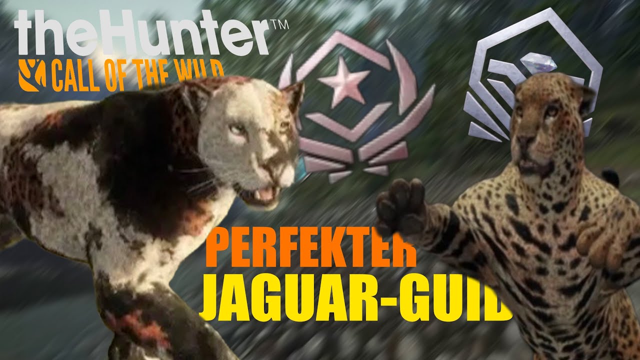 Der Ultimative Jaguar Grind-Guide! Deutsch | theHunter: Call of the Wild Tipps