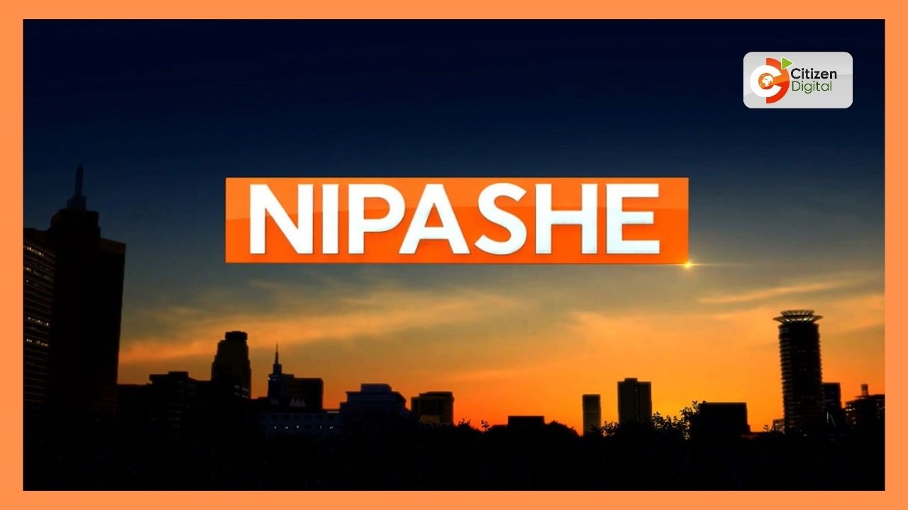 CITIZEN NIPASHE ~ 21 ОКТЯБРЯ 2026 Г.